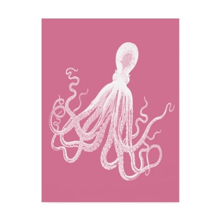 Fab Funky 'Octopus 1 White On Pink' Canvas Art,35x47